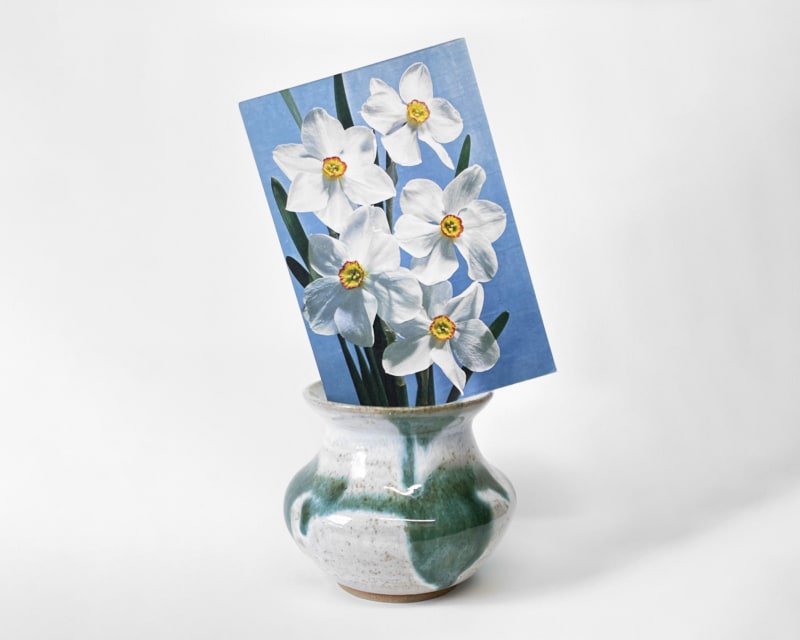 Julie Cockburn Green and White Vase (Pheasant's Eye), 2021
