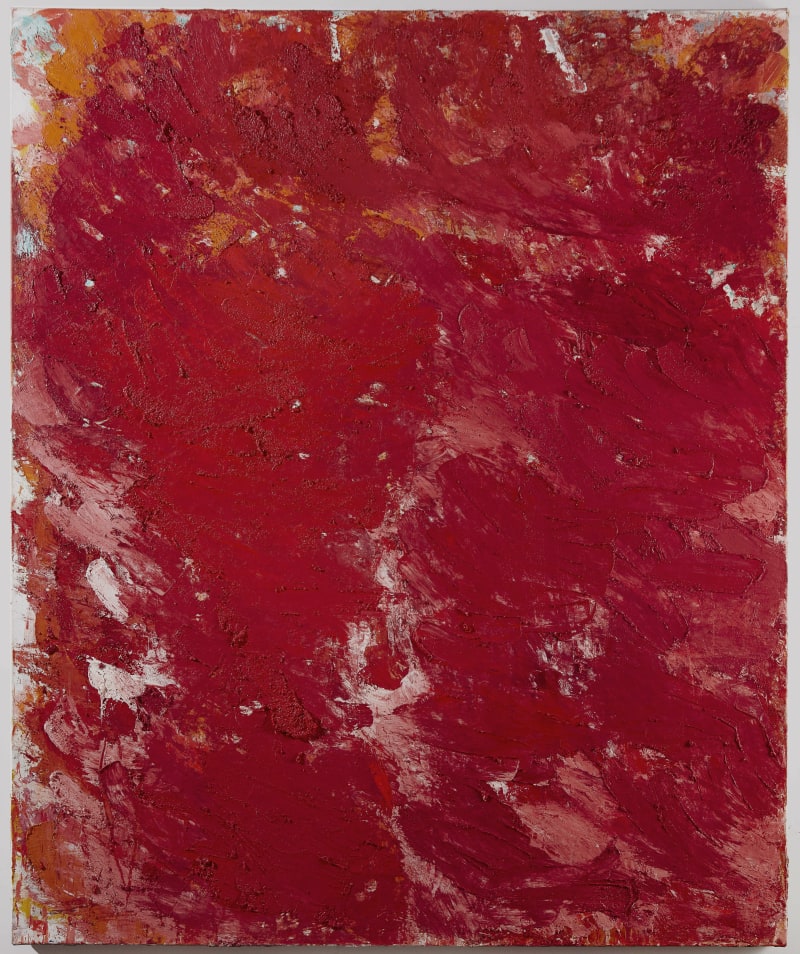 Aida Tomescu Spüren, 2008