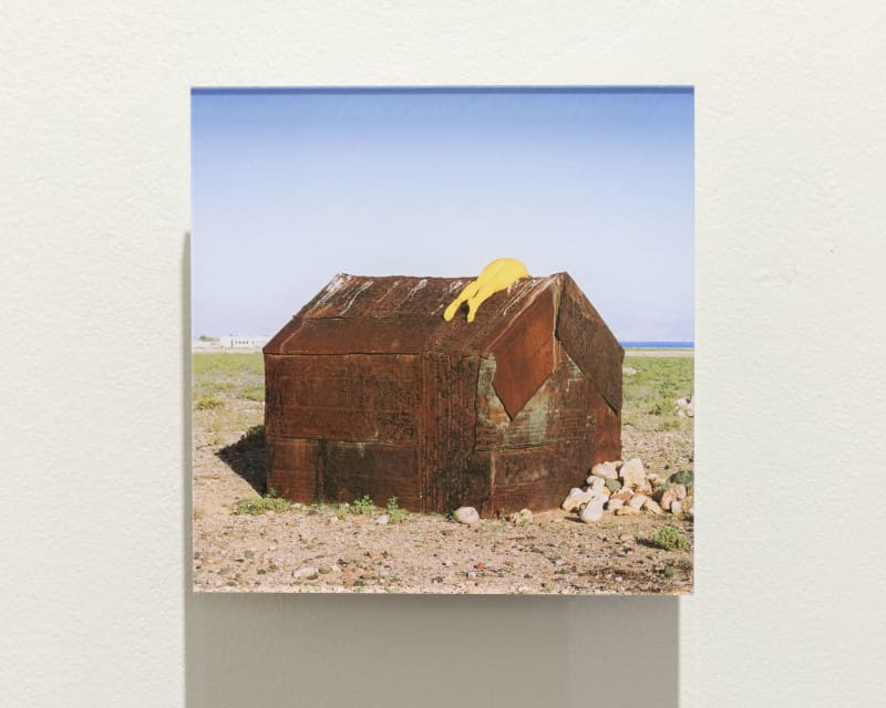 Scarlett Hooft Graafland Iron House, 2014