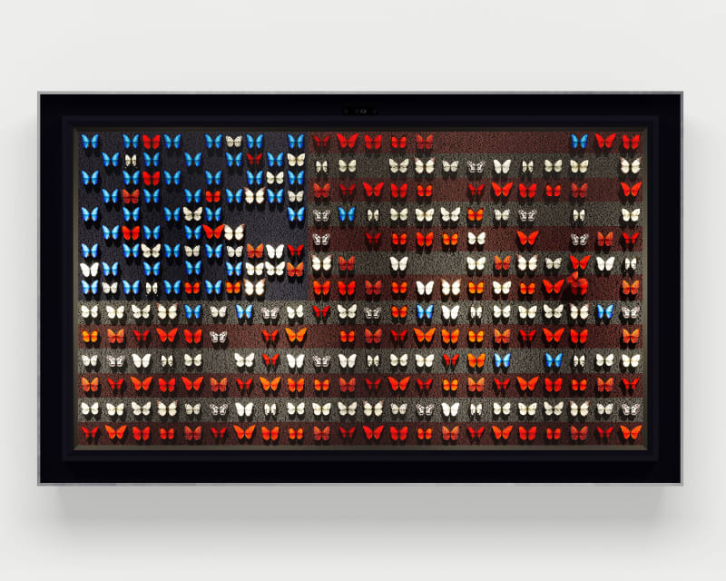 Dominic Harris | Halcyon Gallery