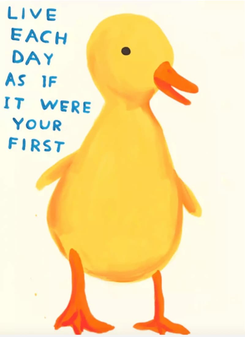 David Shrigley, Live Each Day As If It Were Your First, 2022