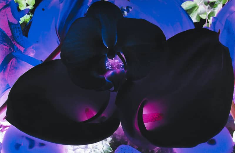 Marc Quinn, At the Far Edges of the Universe #6, 2010