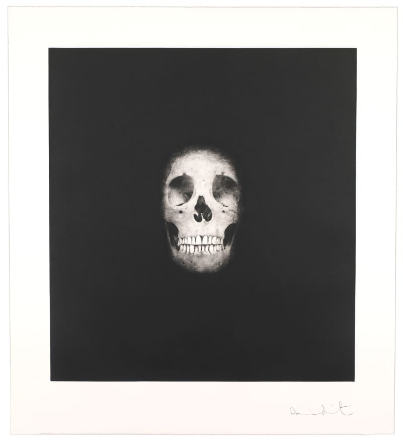Works by Damien Hirst: Life, Death, and Colour | Maddox Gallery