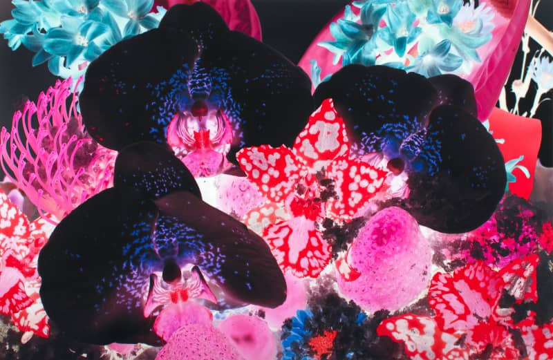 Marc Quinn, At the Far Edges of the Universe #1, 2010