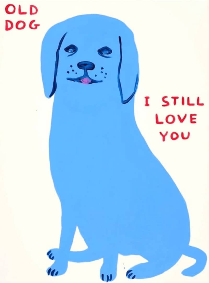 David Shrigley, Old Dog, 2022