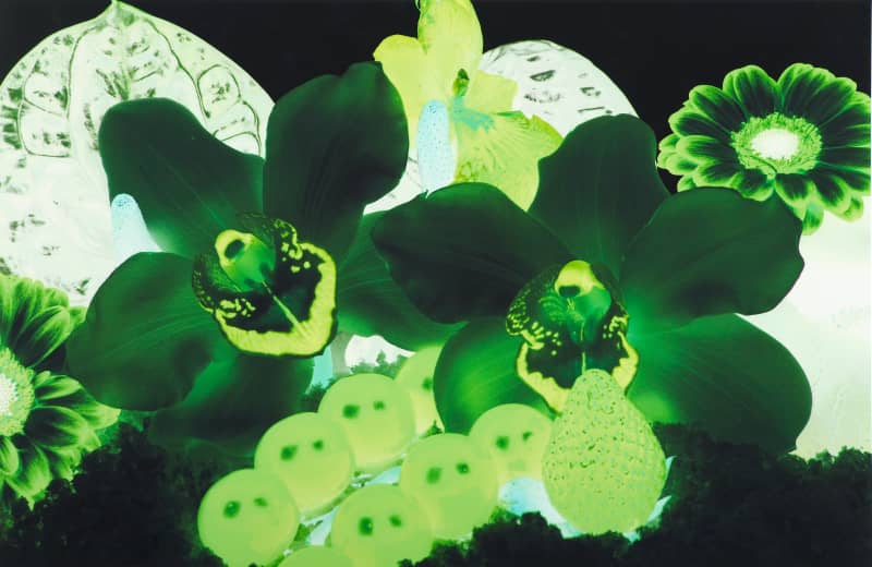 Marc Quinn, At the Far Edges of the Universe #7, 2010