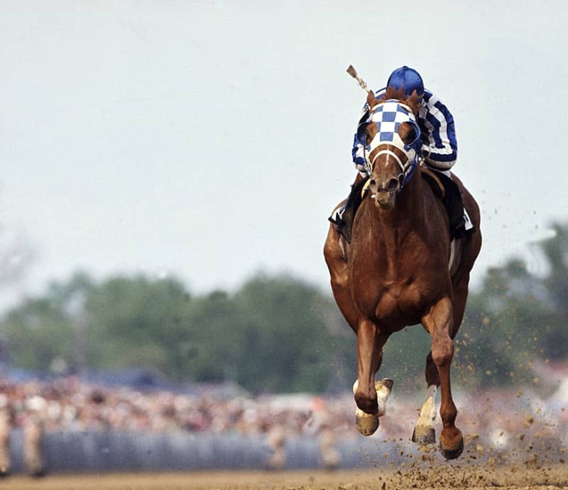 Neil Leifer, Ron Turcotte, 1973
