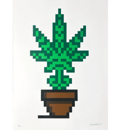 Invader, Hollyweed (Brown Edition), 2018