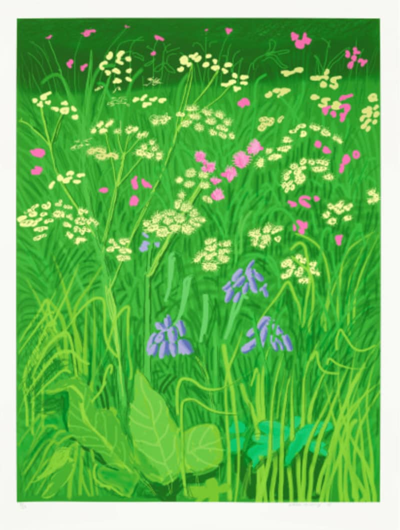 David Hockney, Arrival of Spring In Woldgate east Yorkshire, 17th May, 2011, 2011