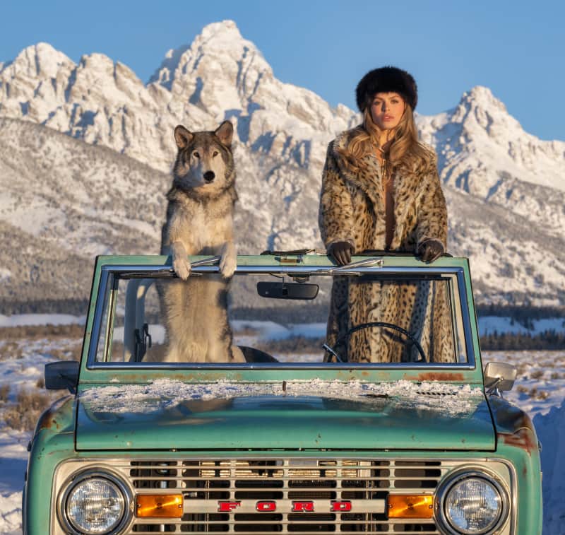 David Yarrow, The Grand Tetons (Colour), 2025