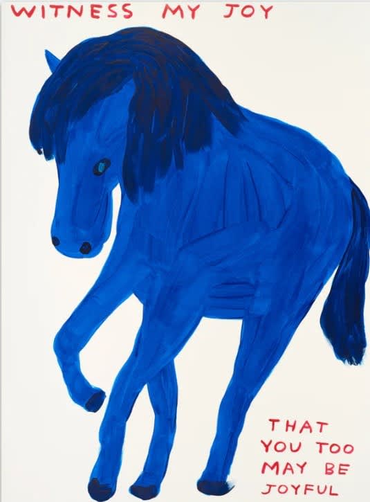 David Shrigley, Witness My Joy, 2022