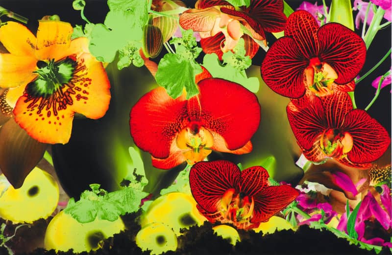 Marc Quinn, At the Far Edges of the Universe #3, 2010