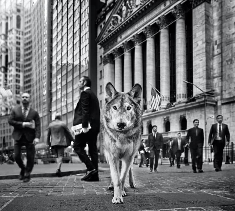 David Yarrow Wall Street Archival Pigment Print