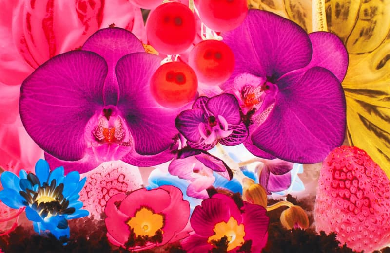 Marc Quinn, At the Far Edges of the Universe #4, 2010