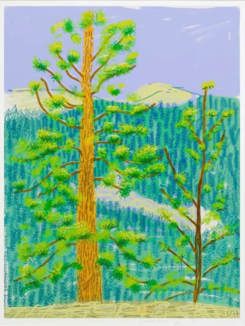 David Hockney, Yosemite 8, 2011