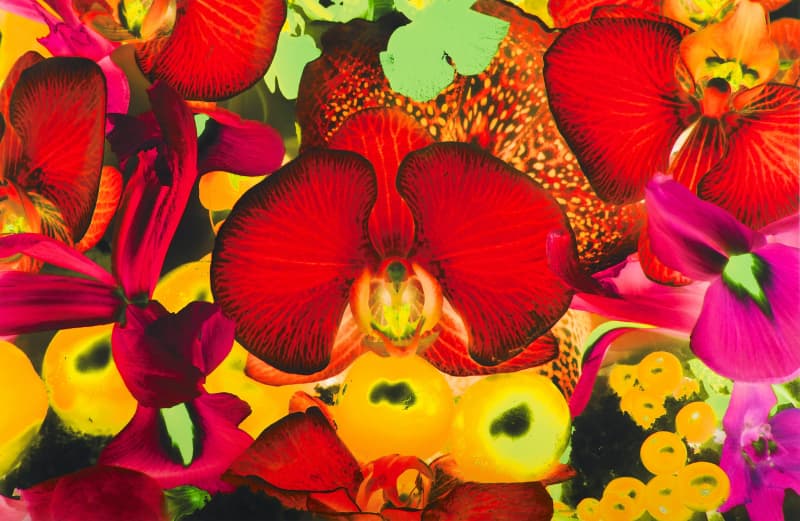 Marc Quinn, At the Far Edges of the Universe #2, 2010