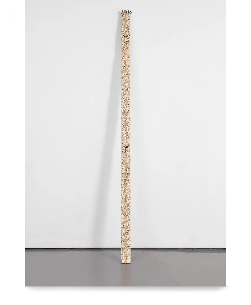 Tom Friedman Stud, 2021