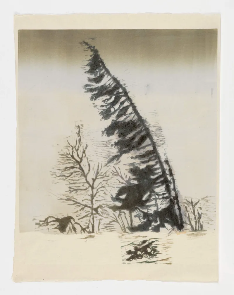 Mamma Andersson Fir, 2016