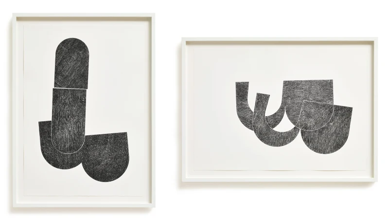 Claire Barclay Untitled (black diptych), 2015