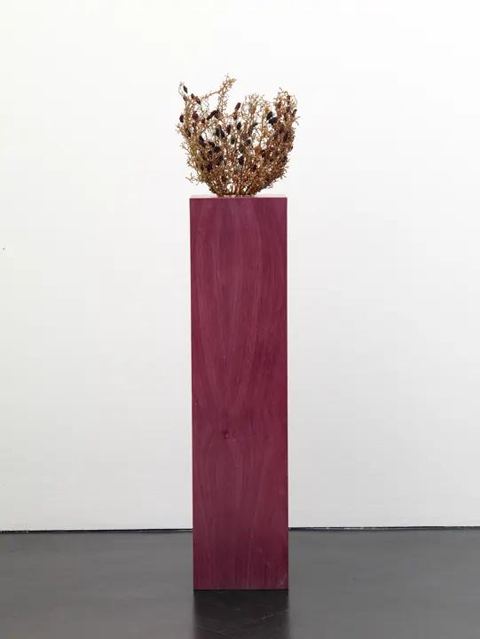 Tonico Lemos Auad Grape Vase, 2009