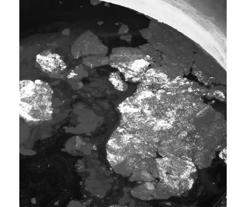 Rivane Neuenschwander Oil Spill 7, 2012