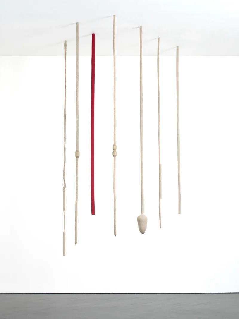 Tonico Lemos Auad Seven Seahorses, 2013