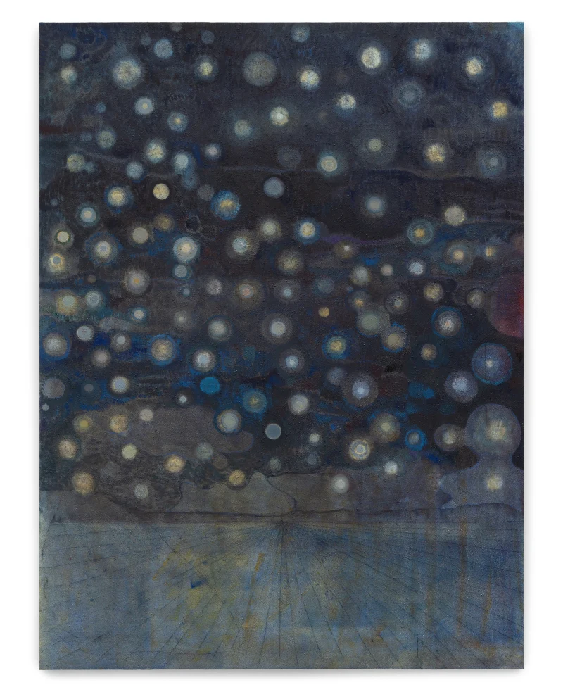 Sky Glabush Night Field, 2021