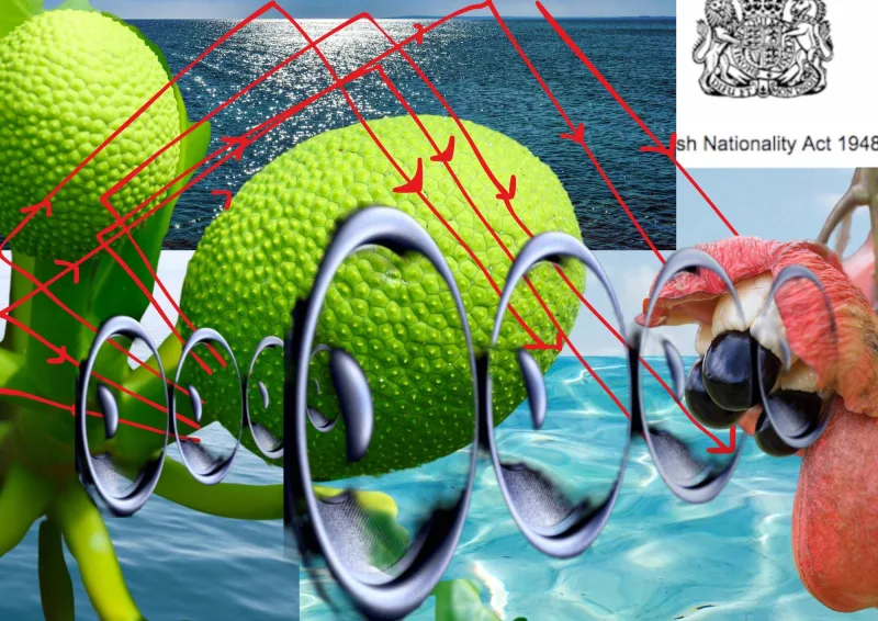 Zinzi Minott WATASOUND, 2024