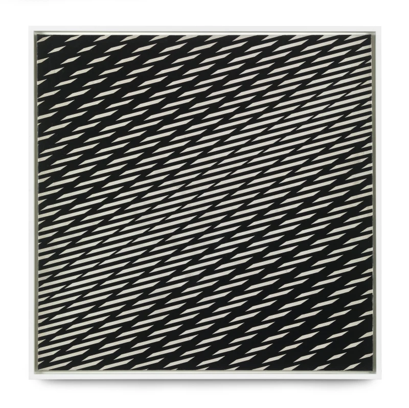 Manuel Espinosa Demuestra Algebraicamente que…, 1977