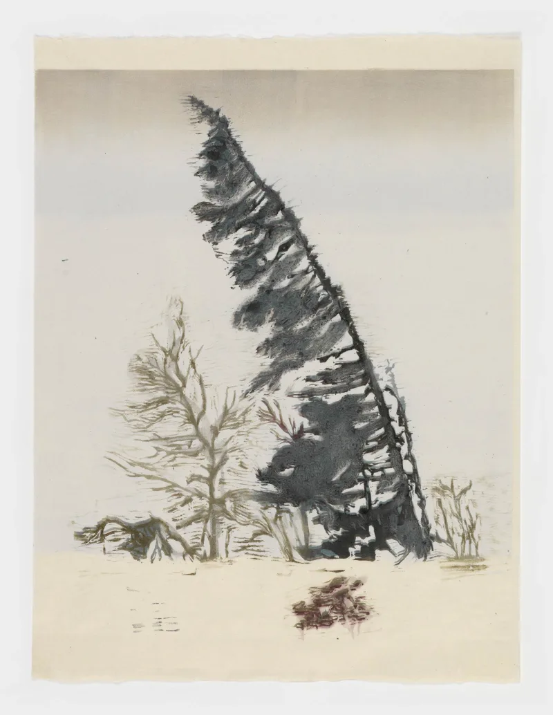 Mamma Andersson Fir, 2016