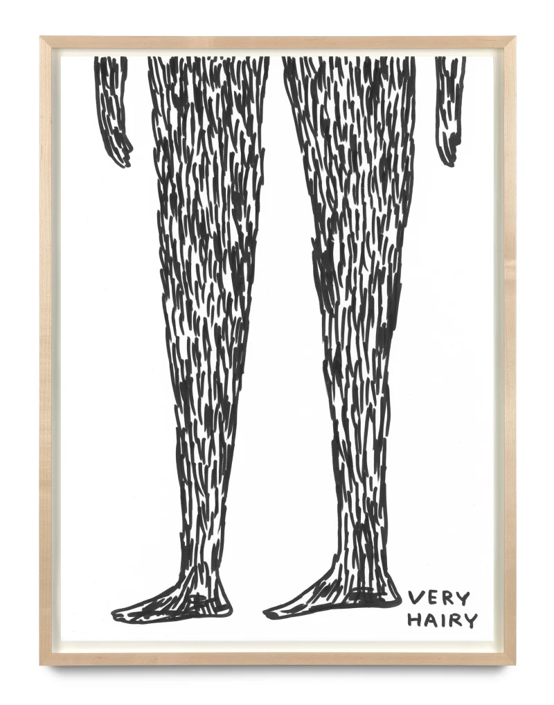 David Shrigley Untitled, 2017