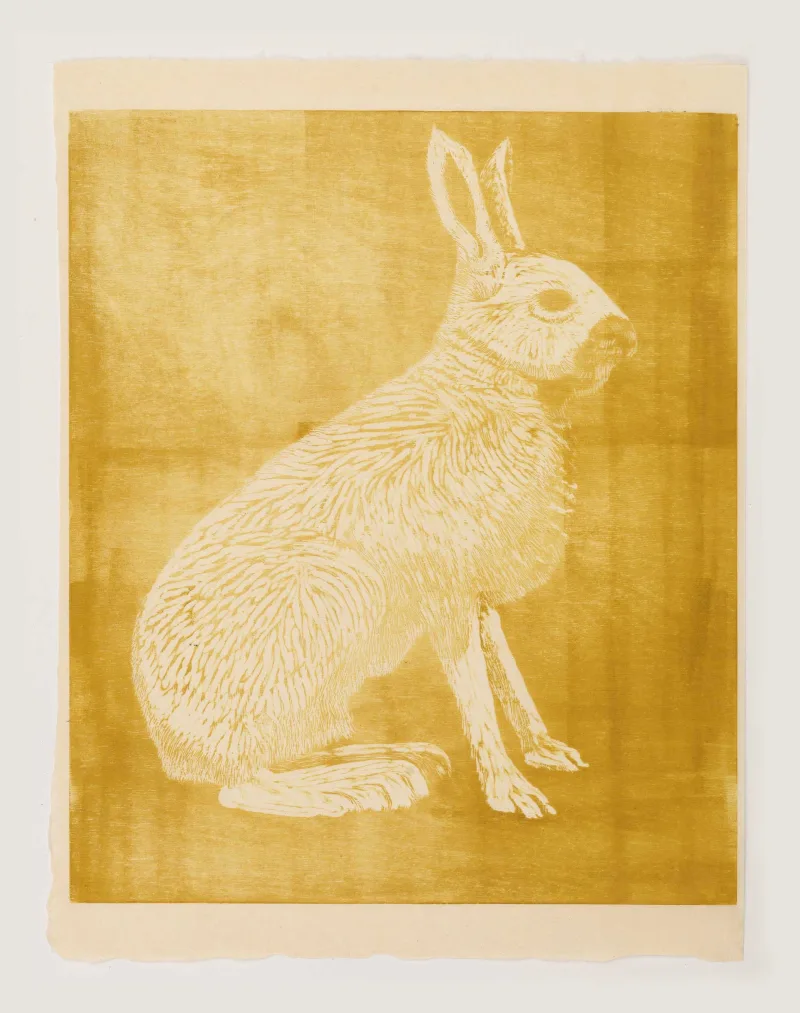 Mamma Andersson Hare, 2015