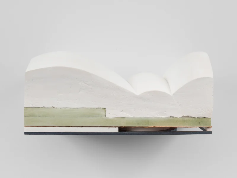 Holly Hendry Amulet, 2019