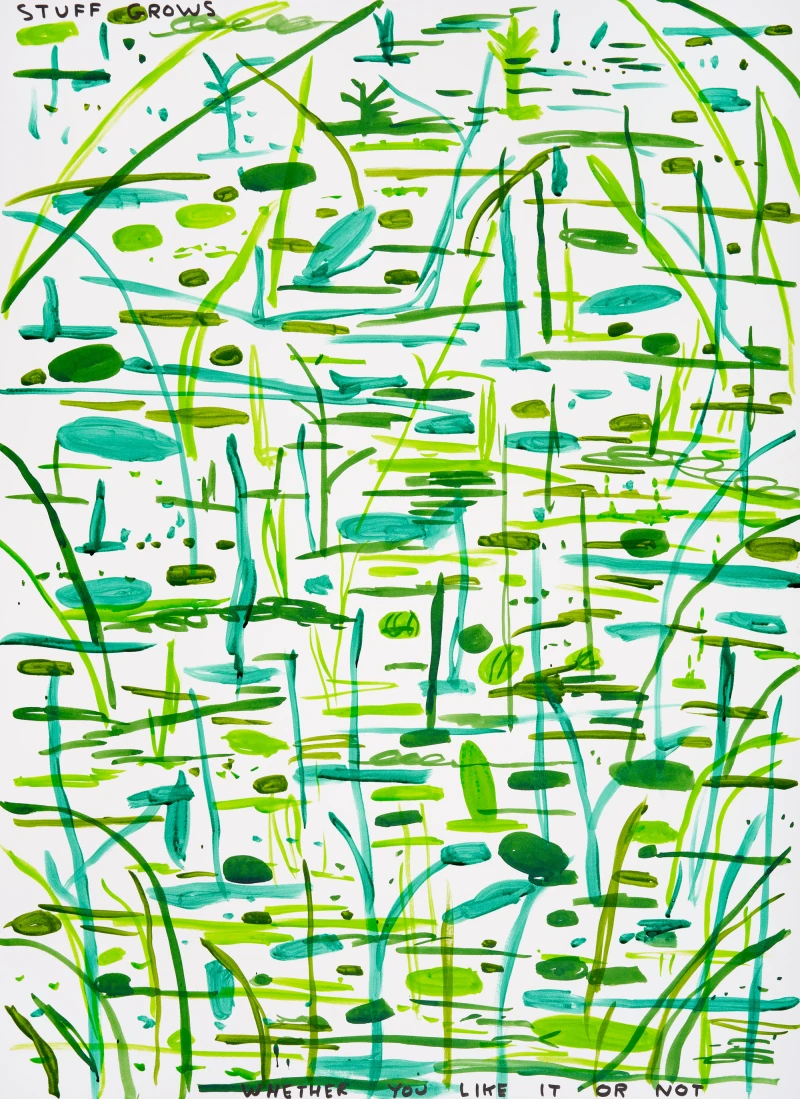 David Shrigley Untitled, 2024