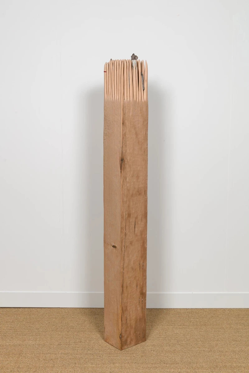 Tonico Lemos Auad Slow Walk, 2019
