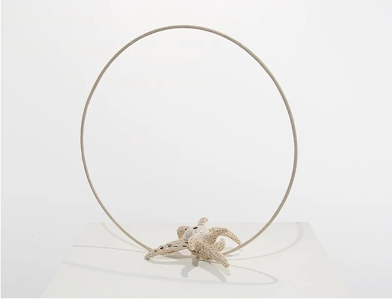Tonico Lemos Auad Desert Flower, 2010