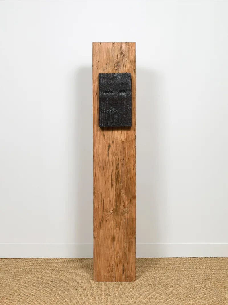 Tonico Lemos Auad The World is Black as Ink, 2019