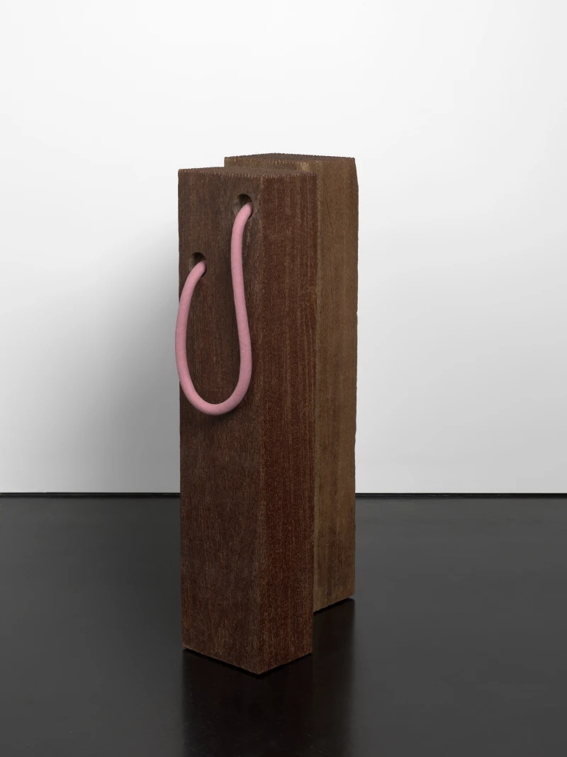 Tonico Lemos Auad Buffalo, 2020