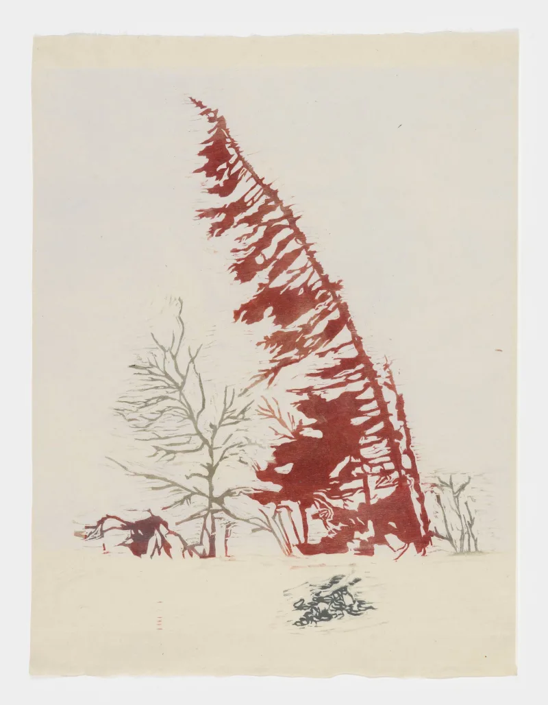 Mamma Andersson Fir, 2016