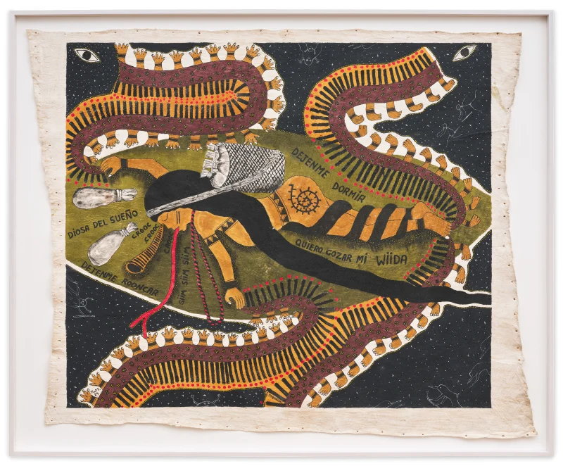 Santiago Yahuarcani Diosa del sueño, 2024