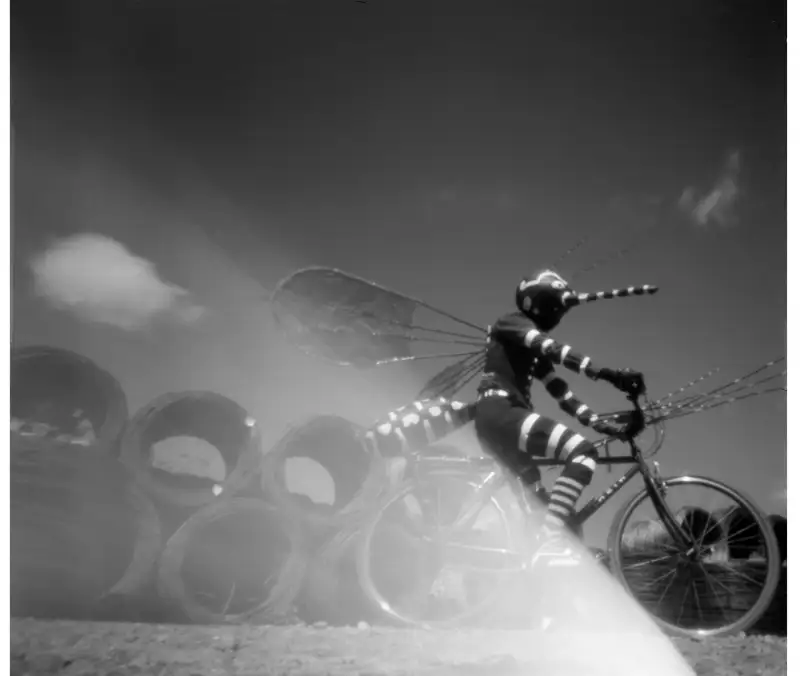 Rivane Neuenschwander Fear of Fear (Dengue Fever), 2015