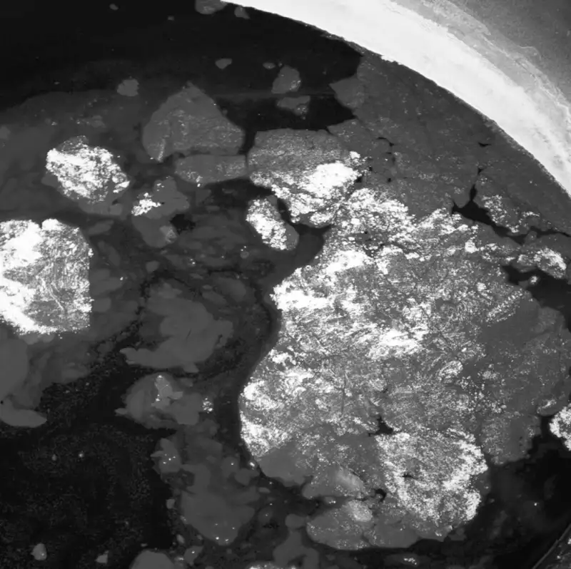 Rivane Neuenschwander Oil Spill 7, 2012