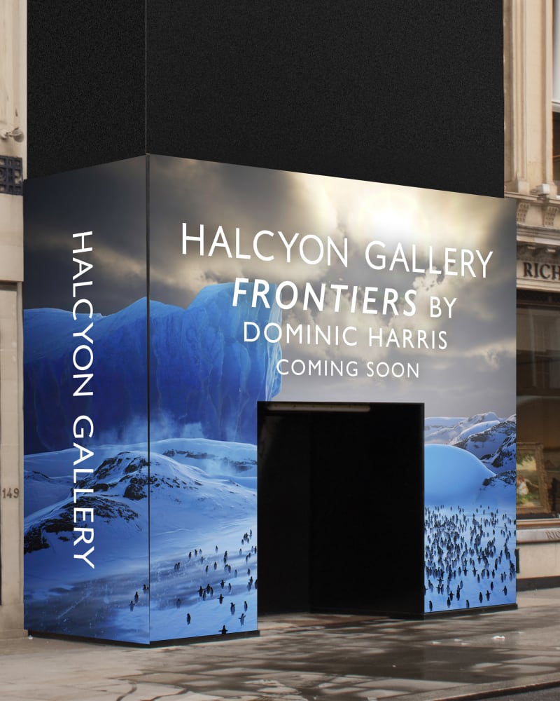 New Flagship Gallery Opening January 2023