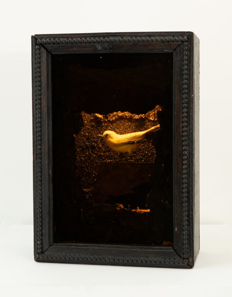 Joseph Cornell