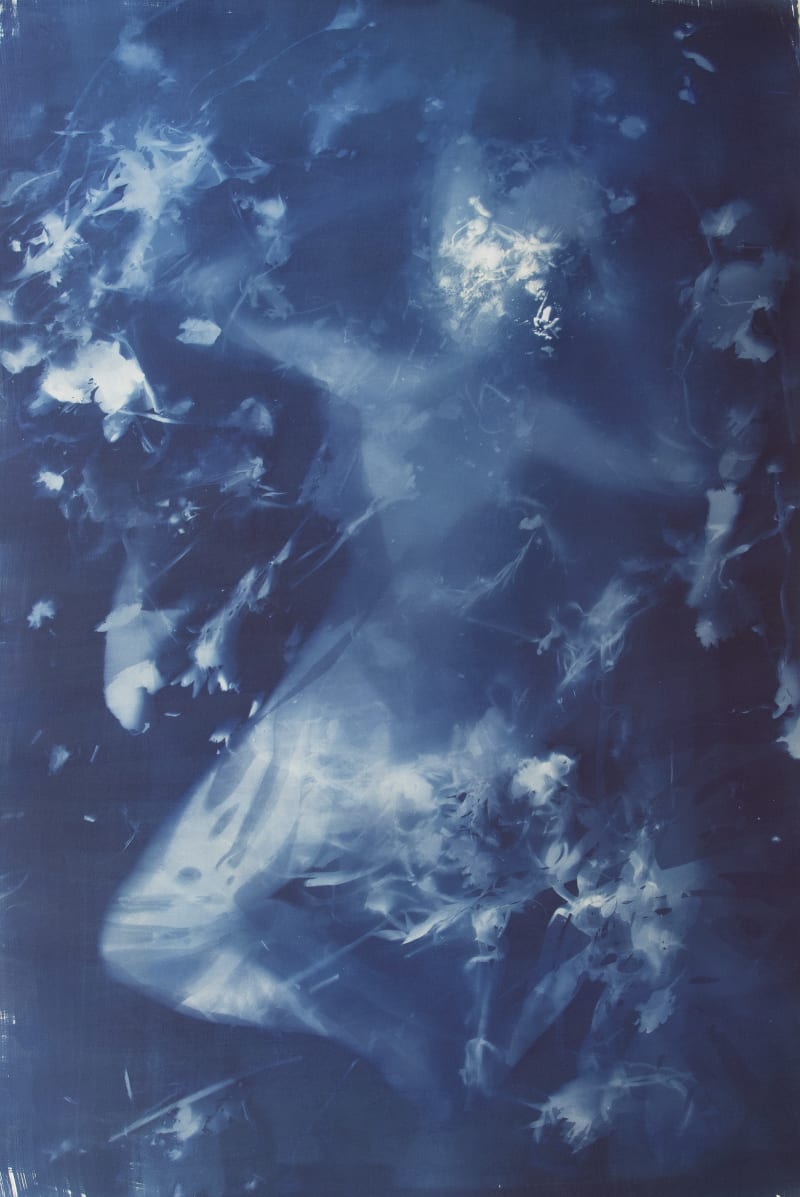 Link to Janelle Lynch