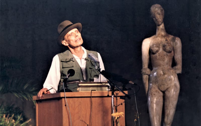 Link to Lehmbruck Museum, Duisburg