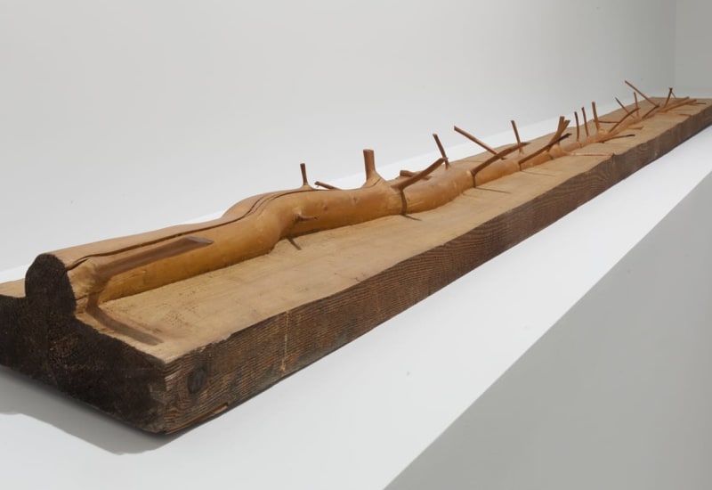 Installation image of a tree excavated out of a piece of lumber. 