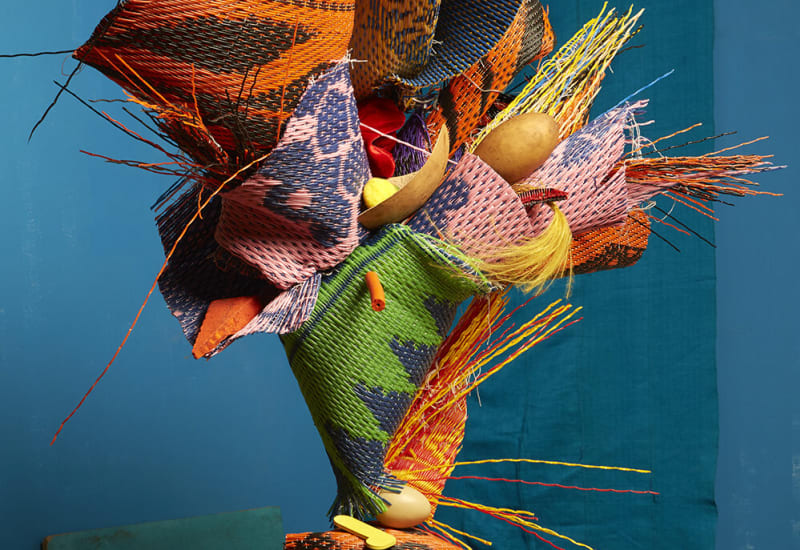 Lorenzo Vitturi | Flowers Gallery