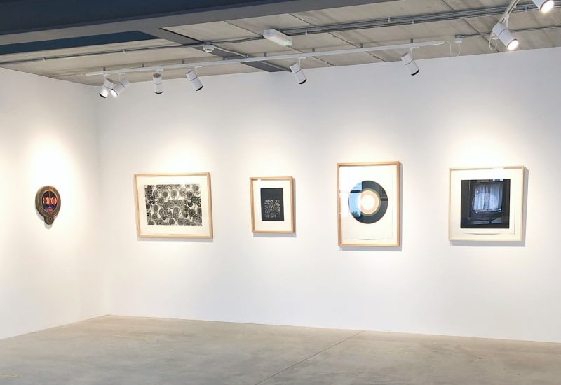 Carol Robertson featured in Working Between Colour and Tone