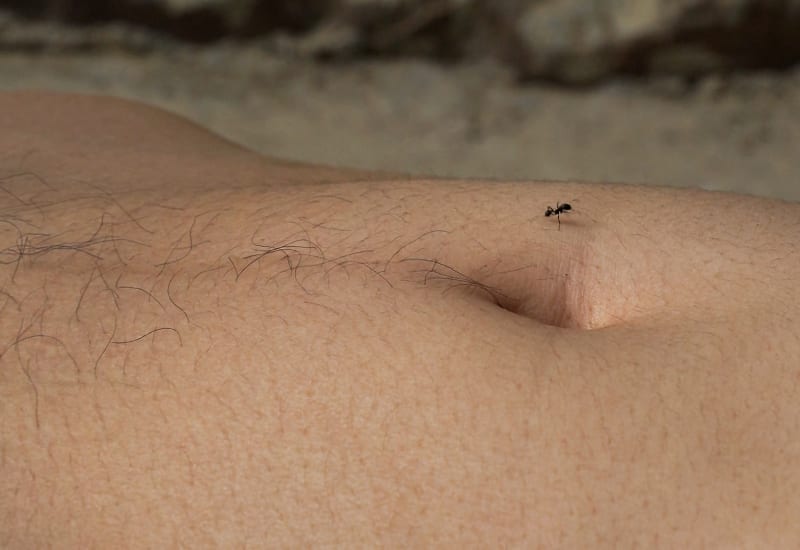 Shen Wei: The Woodpecker and Knee Touching Knee Screening & Performance